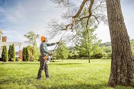 Best Tree Health Inspection  in Marion, IN